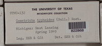 Image Associated With the Occurence
